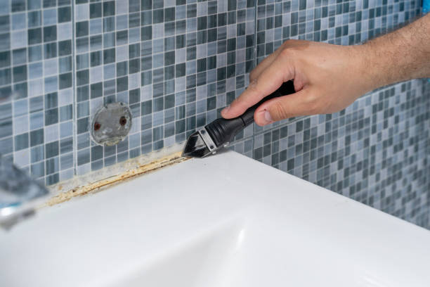 Best Professional Mold Removal  in Grinnell, IA