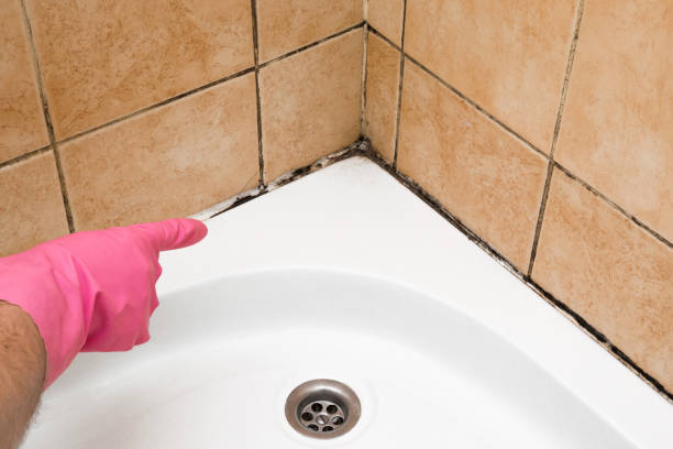 Best Mold Testing  in Grinnell, IA